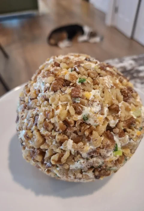 Italian cheese ball rolled in chopped walnuts on a white plate