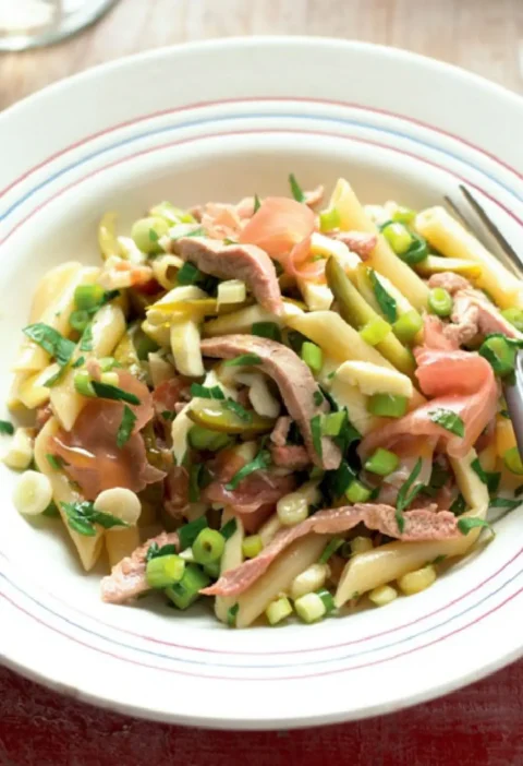 Pasta salad with meat in a white bowl, with penne, Parma ham, strips of roast duck, scallions and parsley