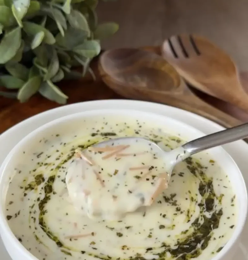 Bowl of creamy vermicelli yogurt soup with a swirl of mint butter and a spoon lifting a scoop of noodles